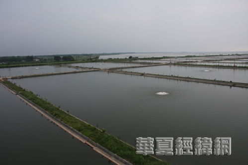 两岸媒体记者采访益阳市大通湖区水产养殖情况