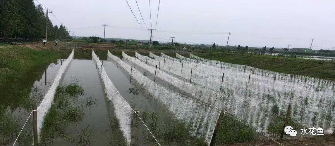水产养殖尾水处理多级人工湿地净水技术