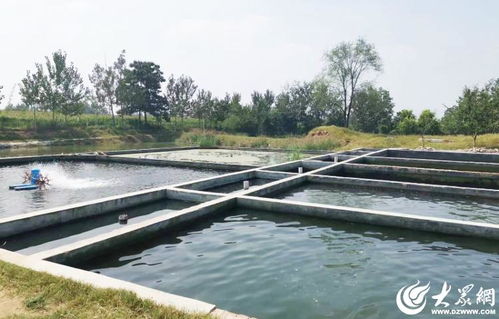 菏泽 水产绿色健康养殖 五大行动 助推渔业养殖转型升级
